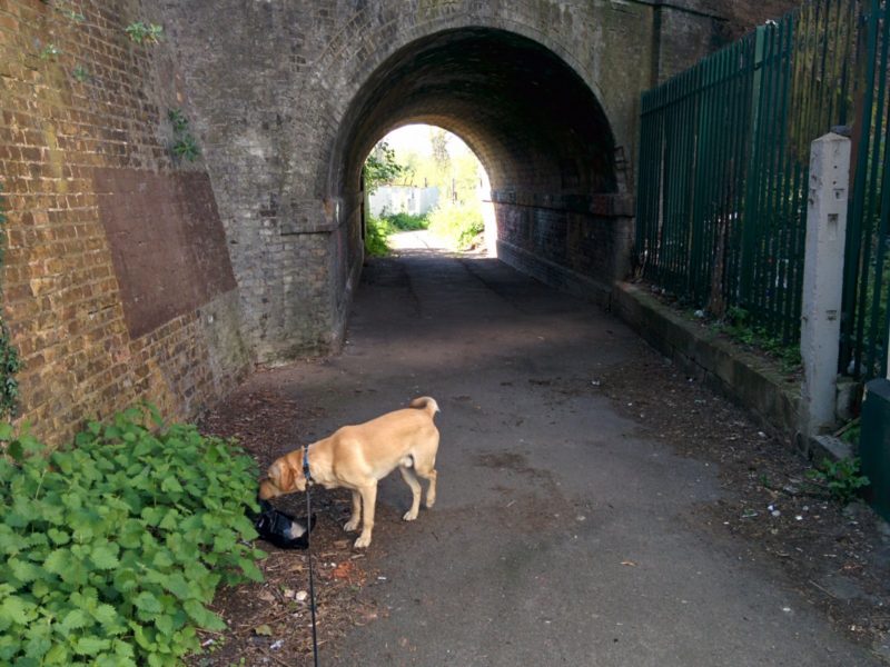 Bexley Tunnel