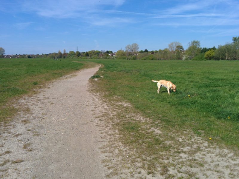 Bexley Landfill Site