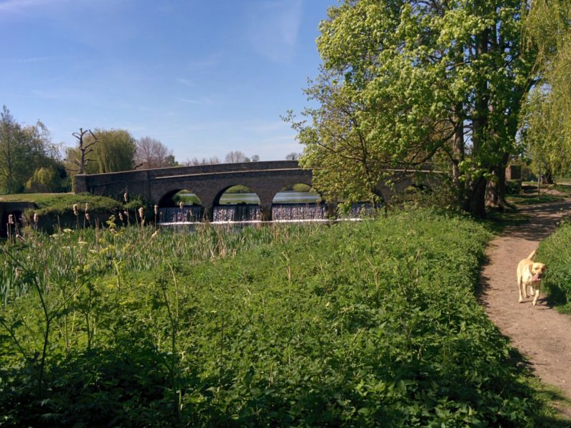 Footscray Meadows - Five Arches Bridge