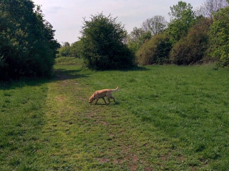 London Loop 3 - Jubilee Park