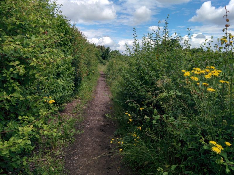 Farleigh Path