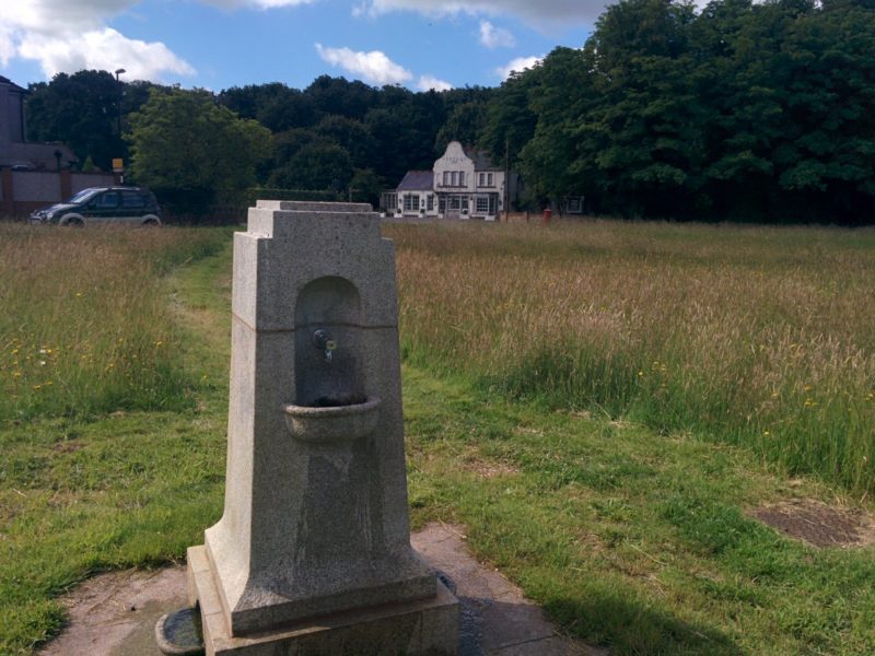 Coulsdon Common and The Fox