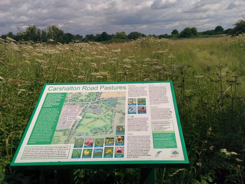 Carshalton Road Pastures