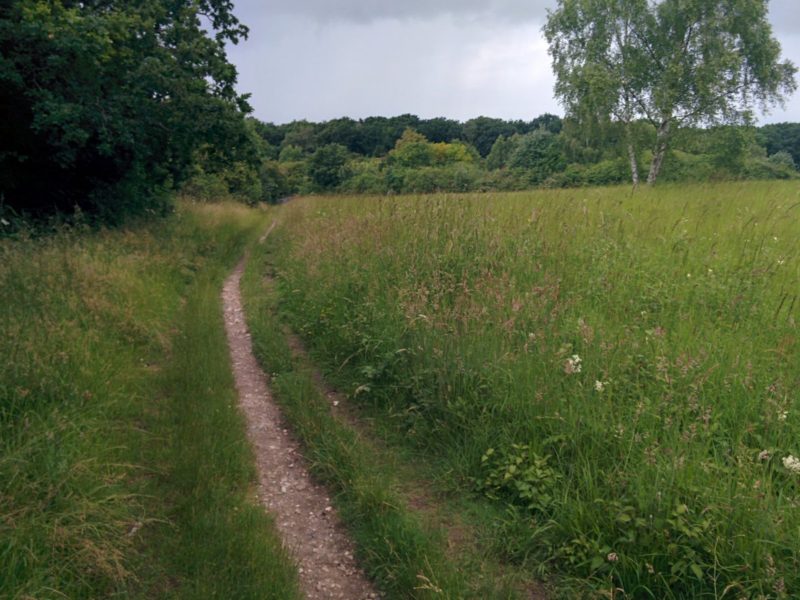 Banstead Downs