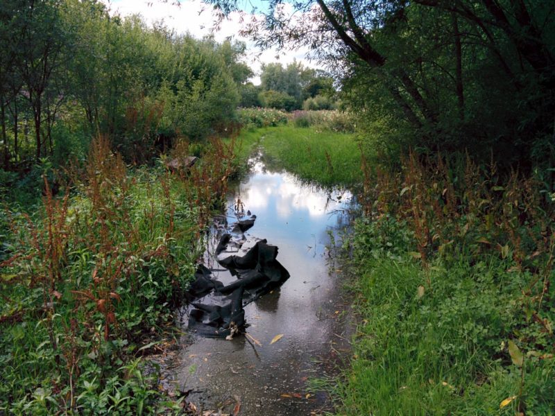 River Crane Park - Flooded Path