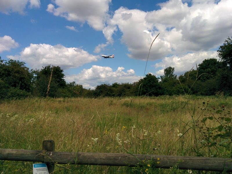 River Crane Park