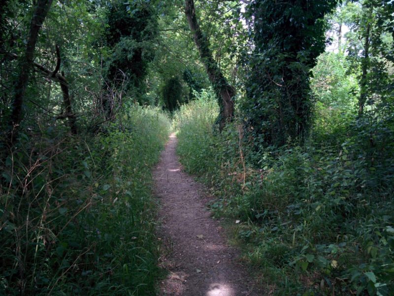 Colne Valley Regional Park