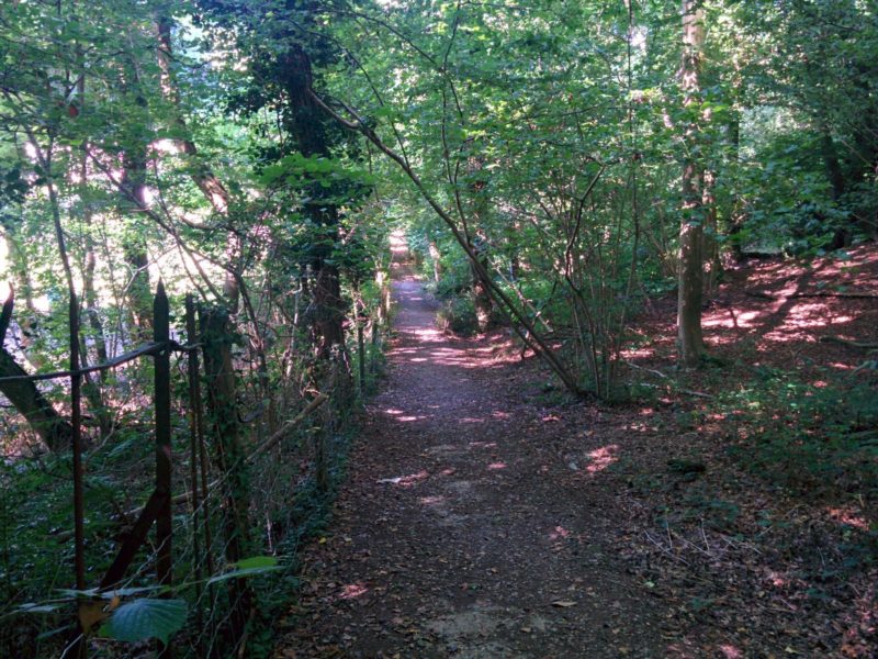 1608-027 London Loop 13 - Park Wood Path