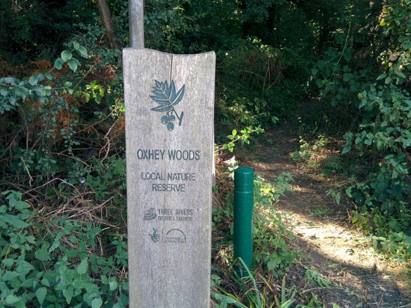 oxhey-woods