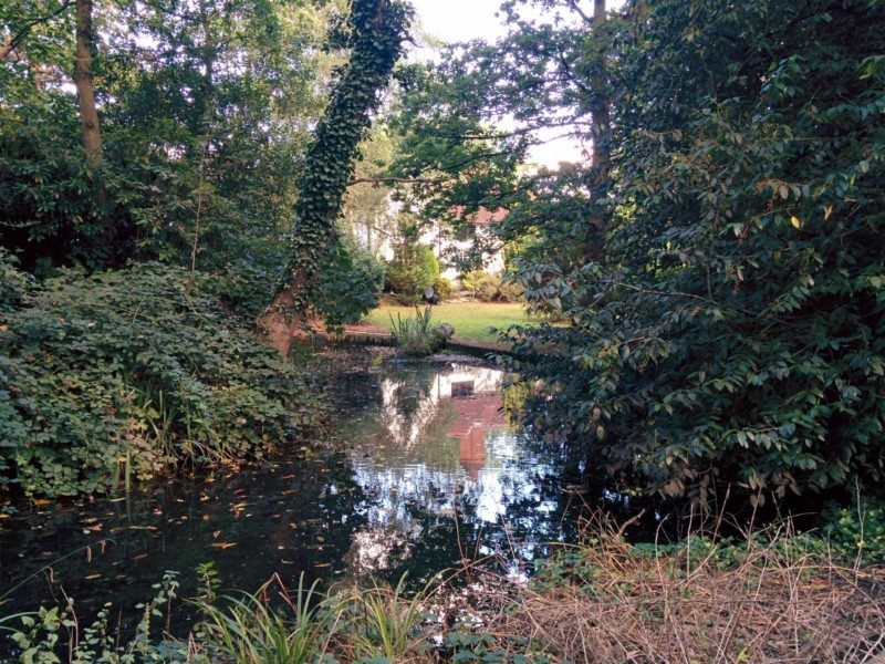 pinnerwood-house-pond