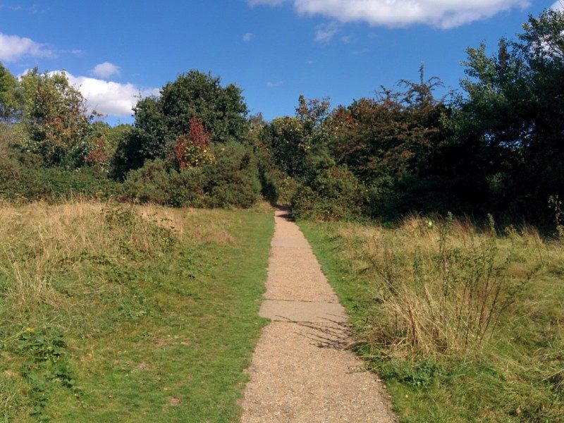 bently-priory-nature-reserve