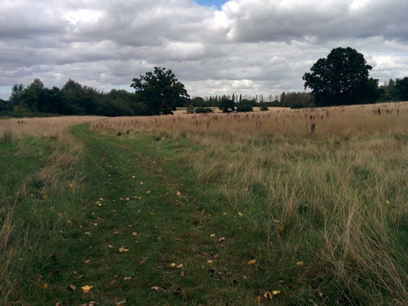 path-to-elstree